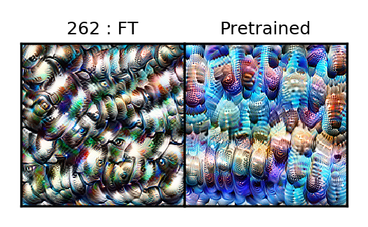 Optimized Image for the fine-tuned model and the pretrained one.